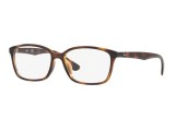 Ray-Ban RX7094D-2012(55)