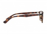 Ray-Ban RX7094D-2012(55)